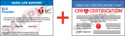 Sample American Heart Association AHA BLS CPR Card Certificaiton and First Aid Certification Card from CPR Certification Oakland