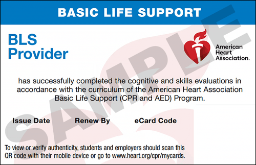 Sample American Heart Association AHA BLS CPR Card Certification from CPR Certification Oakland